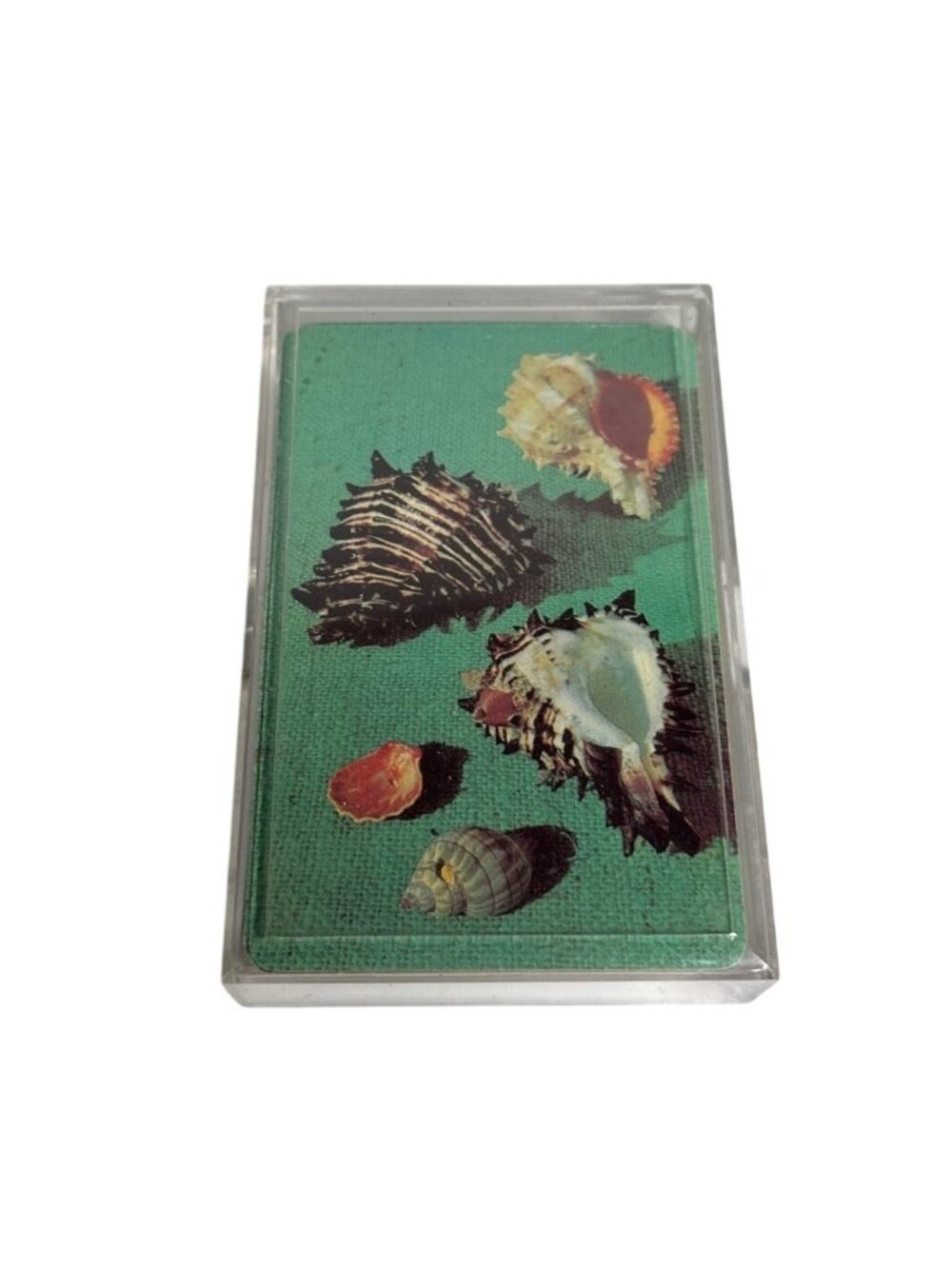 Vintage Seashell Playing Card International Deck Jokers Standard Plastic Case